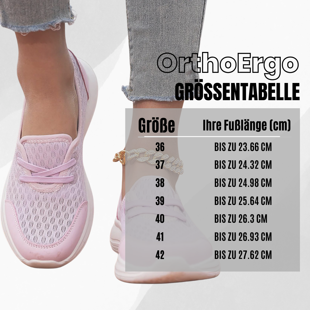 HikeHub - OrthoErgo