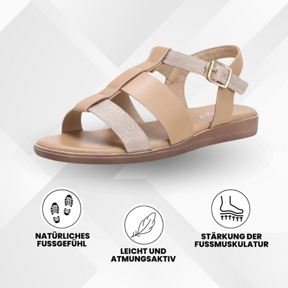 HikeHub - OrthoSun Pro