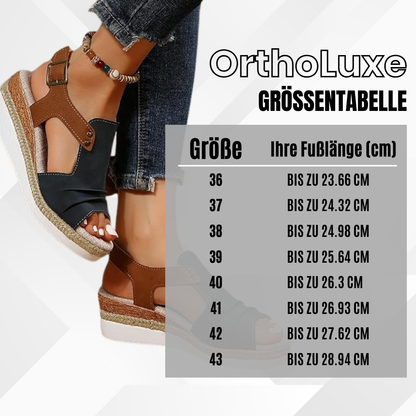 HikeHub - OrthoLuxe